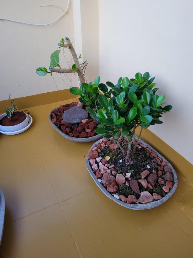 Sandy Beach Hotel Thiruvananthapuram Ngoại thất bức ảnh
